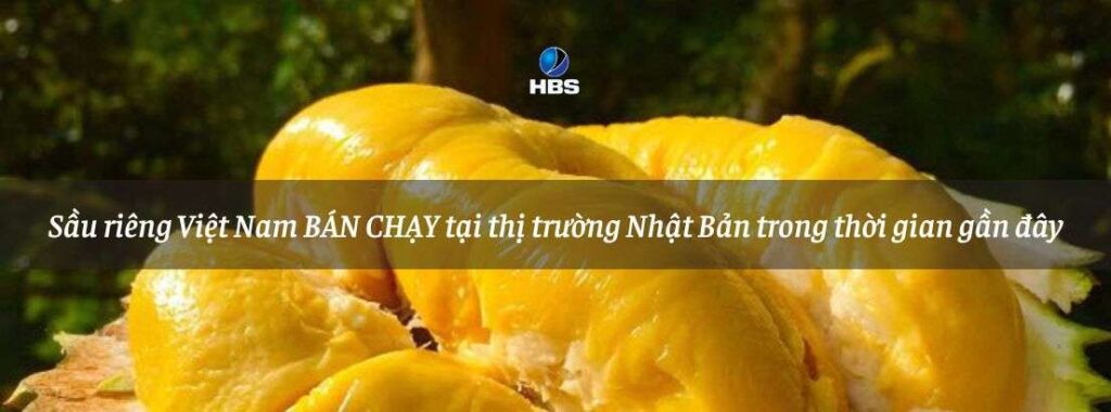 Sau rieng Viet Nam dang la mat hang duoc ua chuong tai thi truong Nhat Ban 1