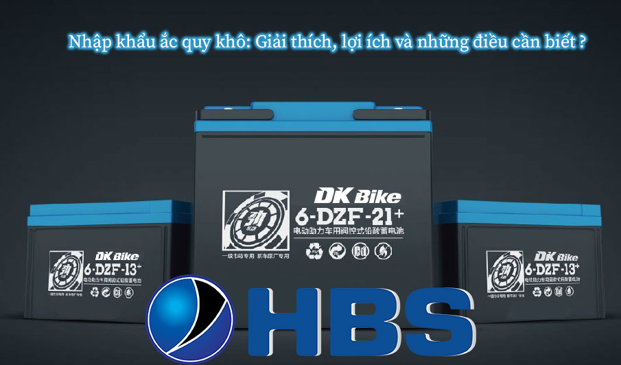 ac quy dk bike xe dien viet thanh 2