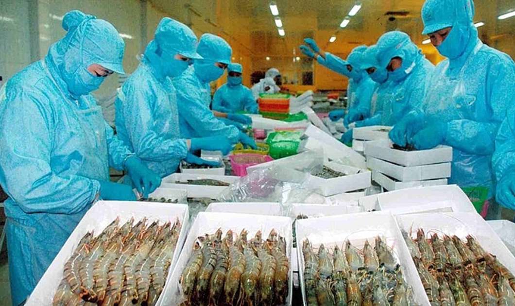 Nhung mat hang nong nghiep xuat khau chu luc cua Viet Nam trong nam 2023 3