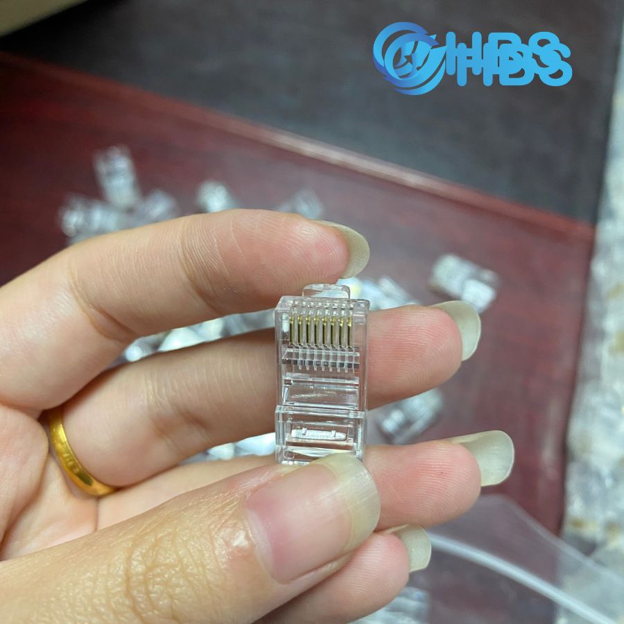 Hat mang RJ45 Cat5e khong che chan 8P8C 2