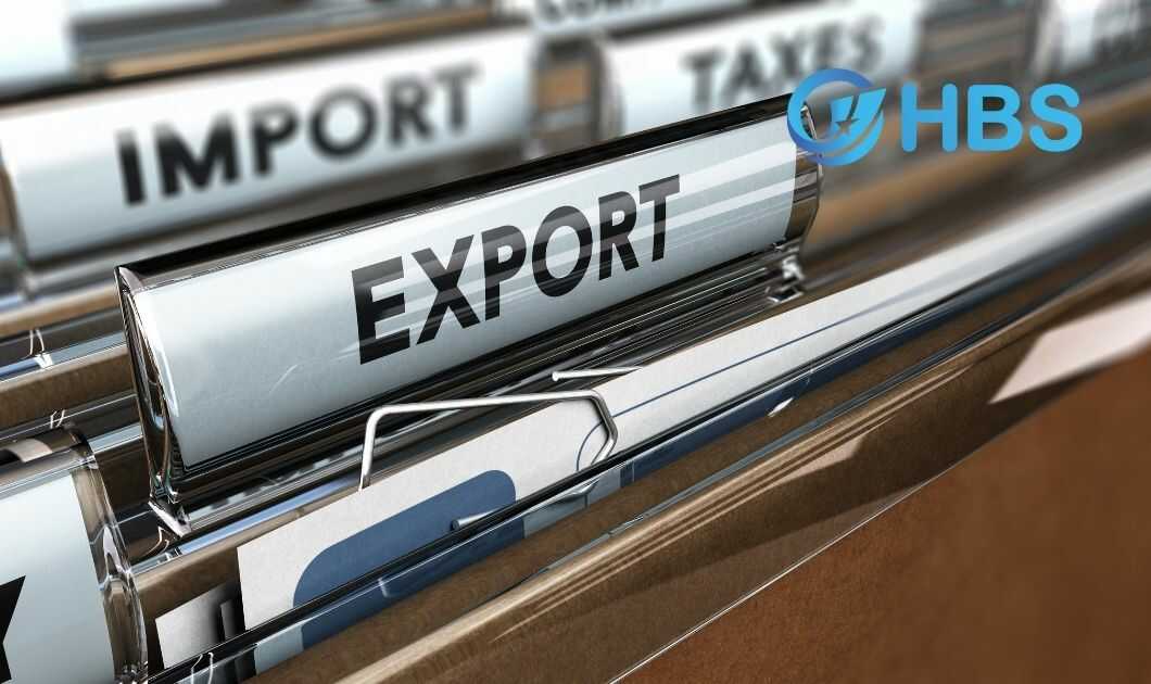 Tạm nhập tái xuất là gì? Thủ tục tạm nhập tái xuất 2024 5 Tam nhap tai xuat la gi Thu tuc tam nhap tai xuat 2024 3