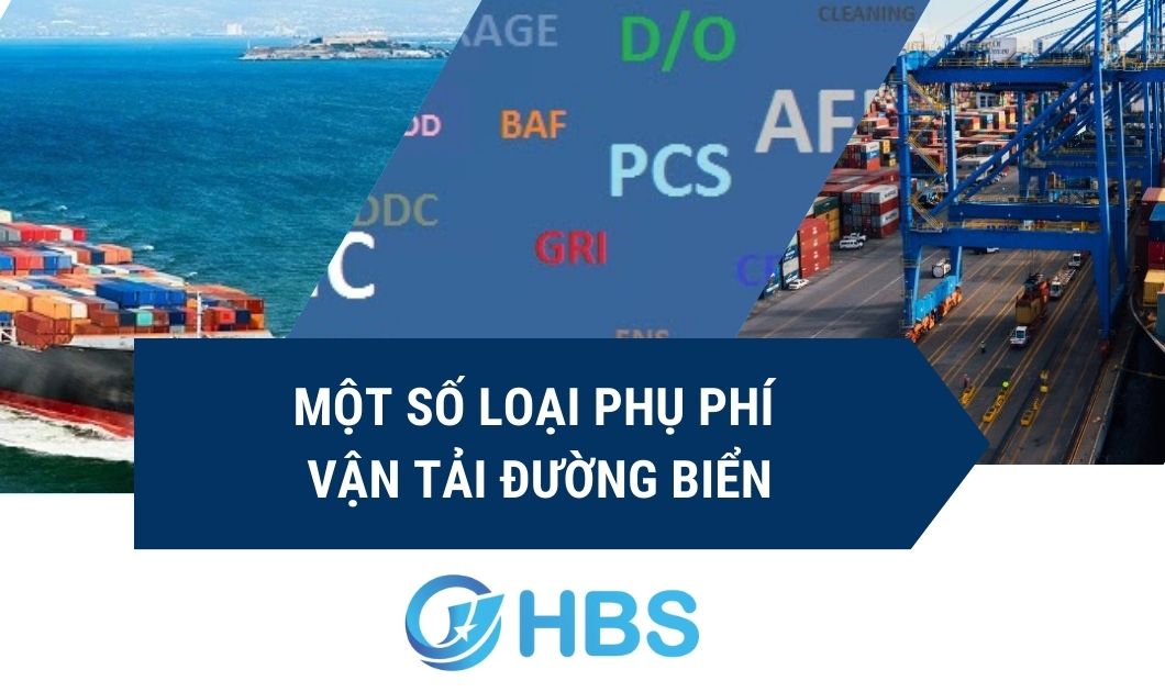 Một số loại phụ phí vận tải đường biển 2 WEbsite 2